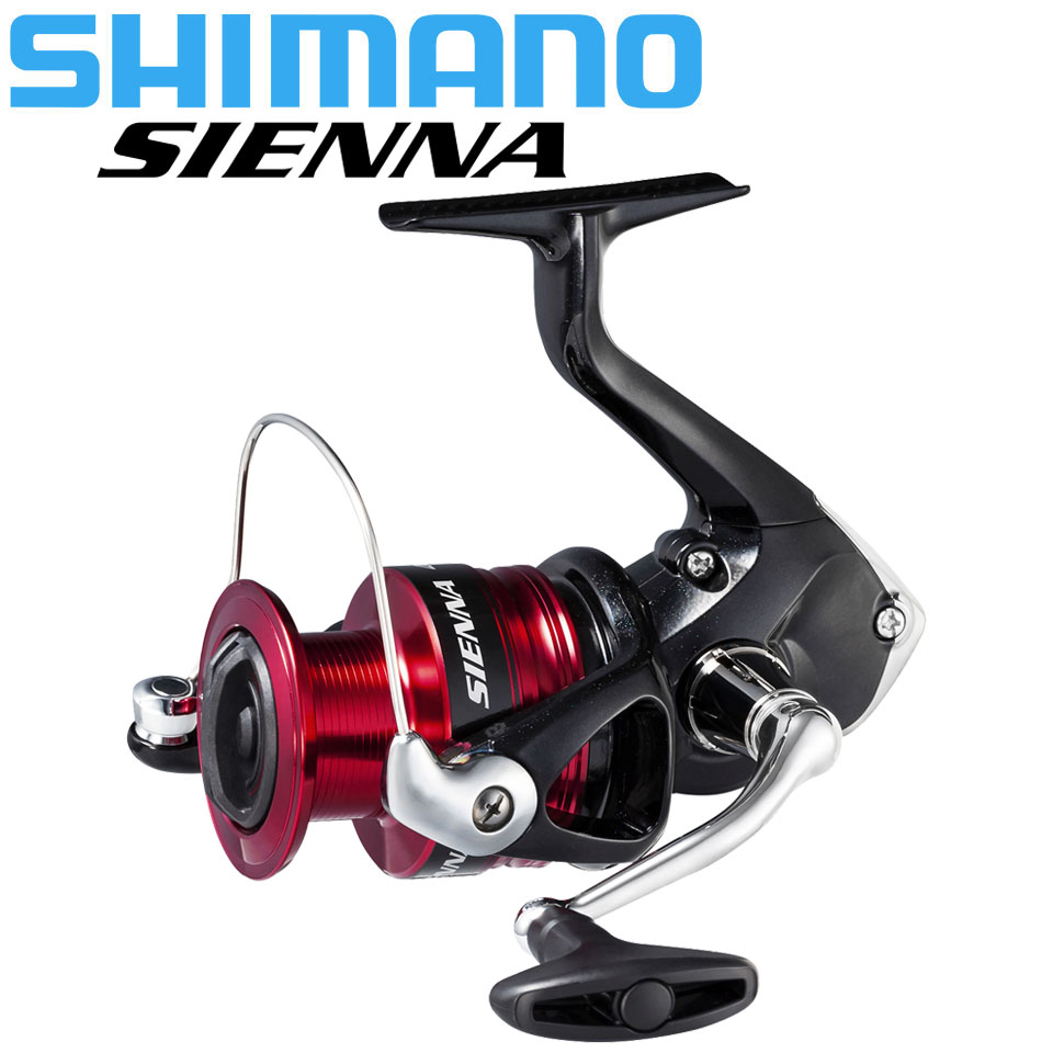 Daiwa Reel Bg - Shimano sienna molinete de pesca AR-C