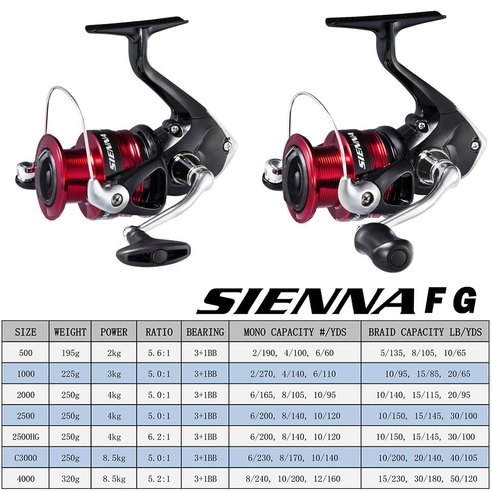 Shimano sienna molinete de pes - Daiwa Reel Bg avaliação e preço